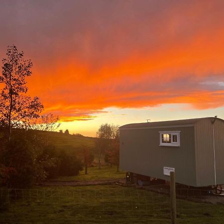 The Buteland Stop Rosie Off Grid Shepherds Hut Bellingham Buitenkant foto