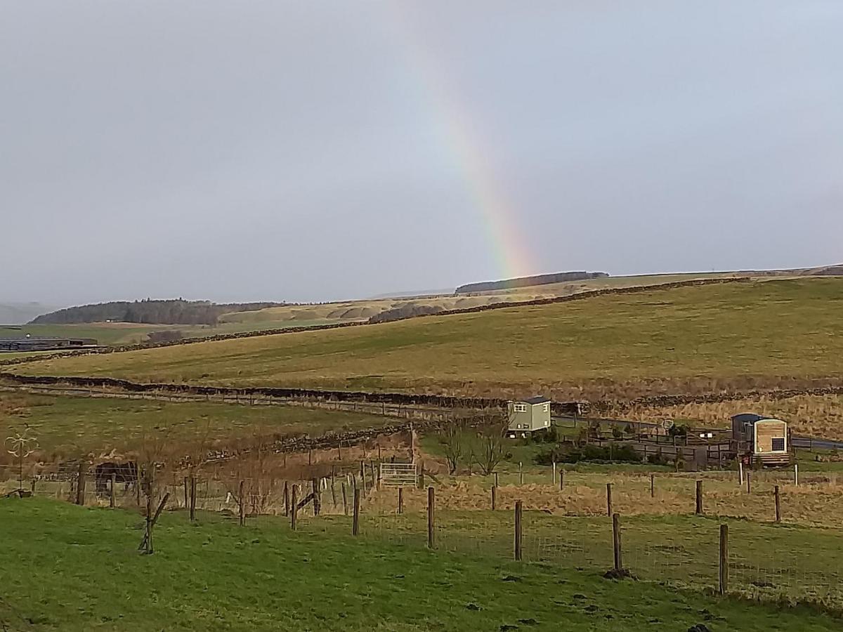 The Buteland Stop Rosie Off Grid Shepherds Hut Bellingham Buitenkant foto