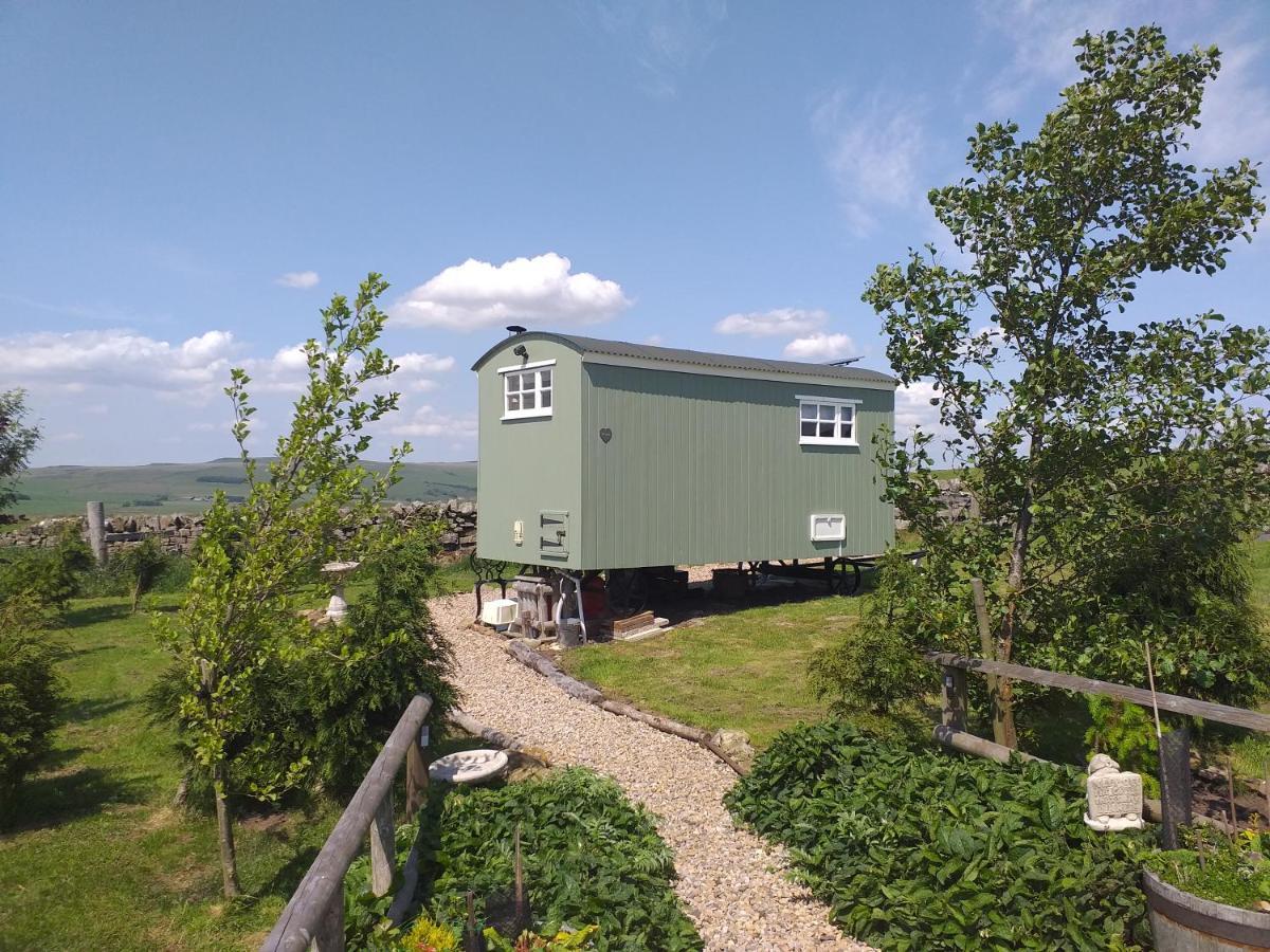 The Buteland Stop Rosie Off Grid Shepherds Hut Bellingham Buitenkant foto