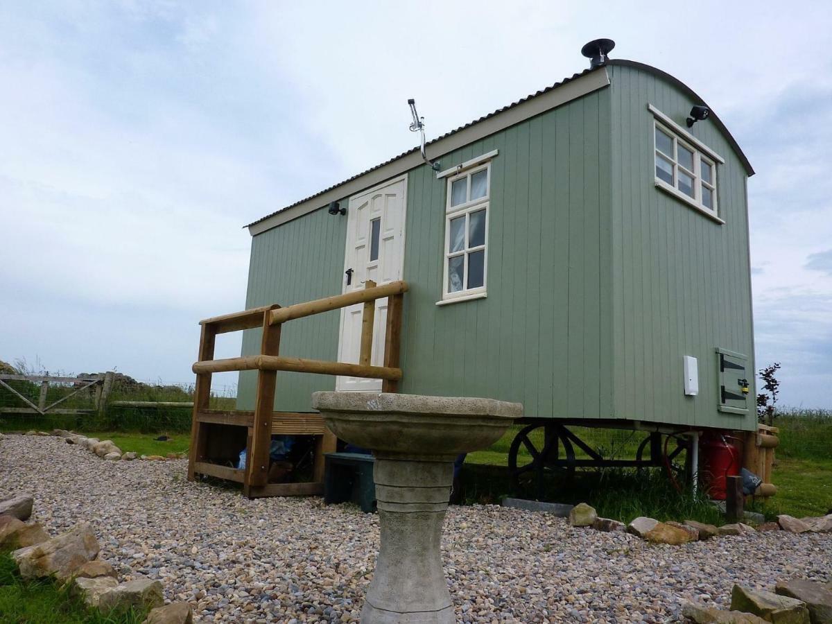 The Buteland Stop Rosie Off Grid Shepherds Hut Bellingham Buitenkant foto