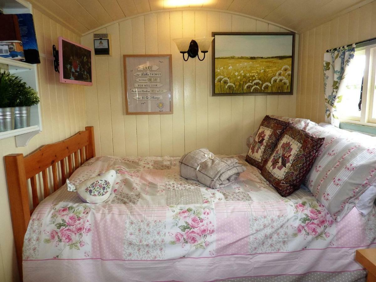 The Buteland Stop Rosie Off Grid Shepherds Hut Bellingham Buitenkant foto