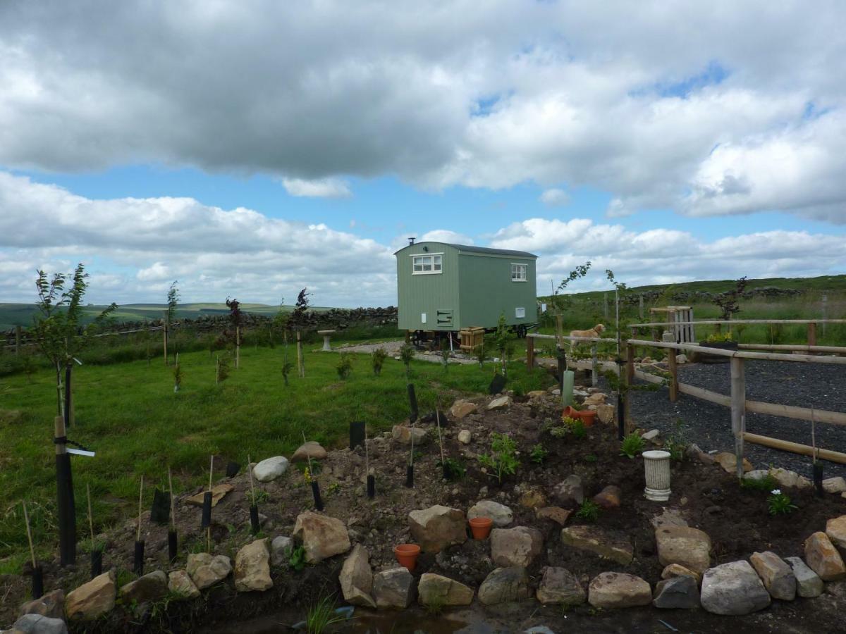 The Buteland Stop Rosie Off Grid Shepherds Hut Bellingham Buitenkant foto