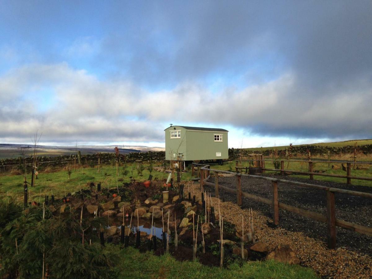 The Buteland Stop Rosie Off Grid Shepherds Hut Bellingham Buitenkant foto