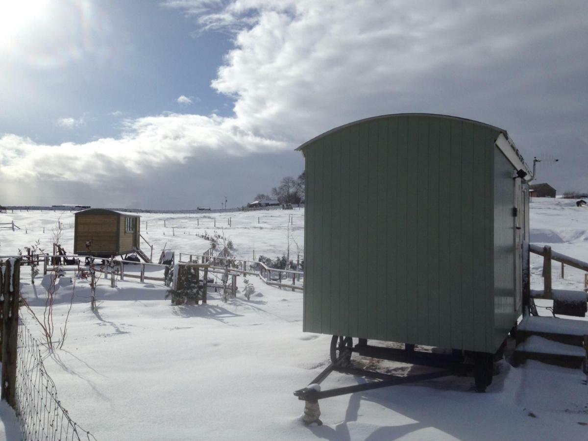 The Buteland Stop Rosie Off Grid Shepherds Hut Bellingham Buitenkant foto