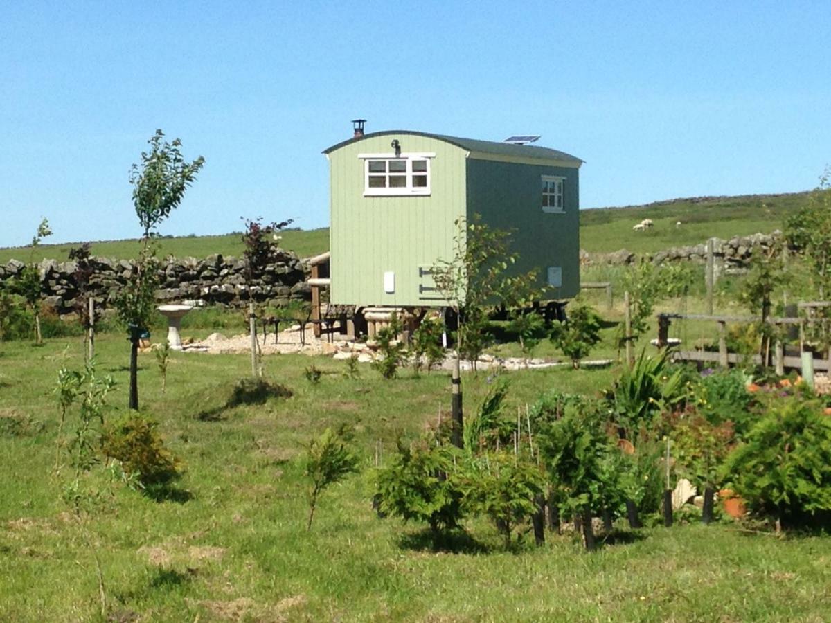 The Buteland Stop Rosie Off Grid Shepherds Hut Bellingham Buitenkant foto