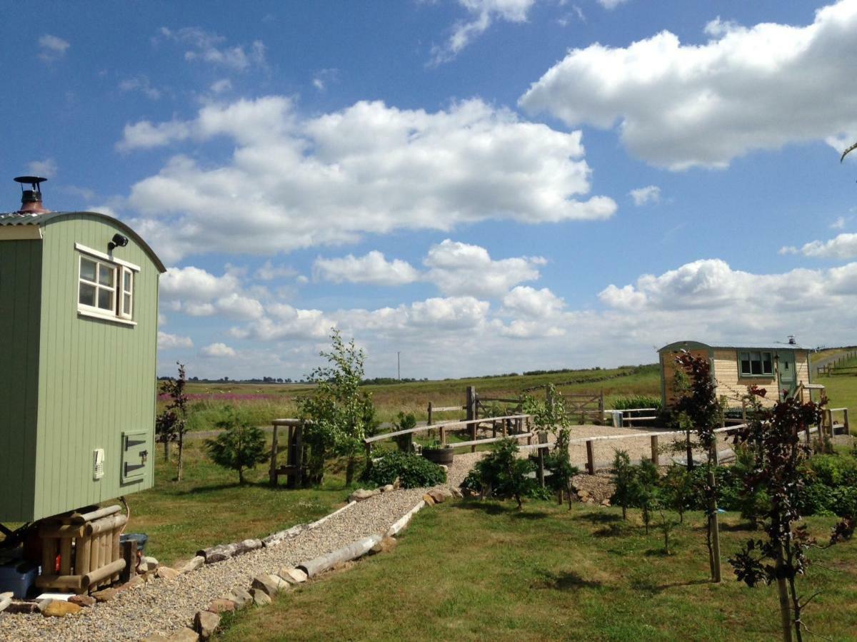 The Buteland Stop Rosie Off Grid Shepherds Hut Bellingham Buitenkant foto