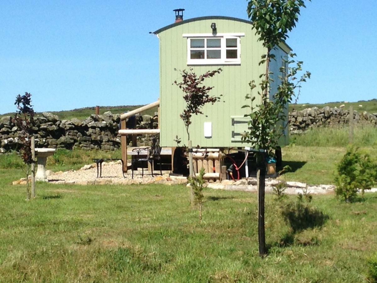 The Buteland Stop Rosie Off Grid Shepherds Hut Bellingham Buitenkant foto